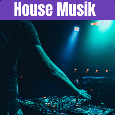 Haus Musik DJ Baumi legt House Musik auf